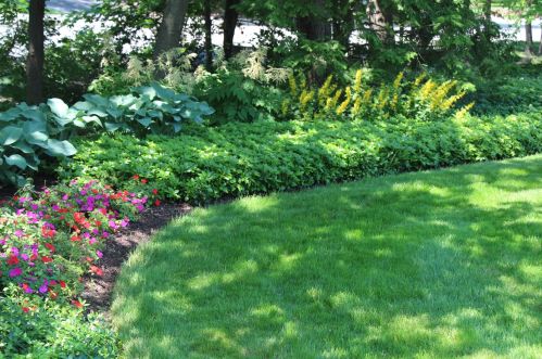 115 Eastern Ave, Willowbrook IL  60514-1414 exterior