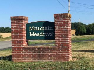 1038 Mountain Meadows Dr, Limestone, TN 37681-2340