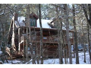 40 Spring Lake Dr, Ellijay, GA 30536-6841