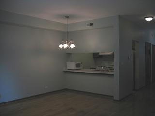 1560 Darien Lake Dr, Oak Brook IL  60561-5085 exterior