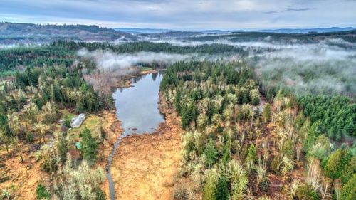 15310 Strawn Ln, Tenino, WA 98589-9600