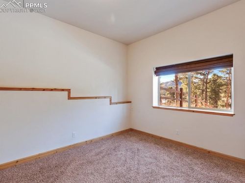 341 Panther Ct, Woodland Park CO exterior