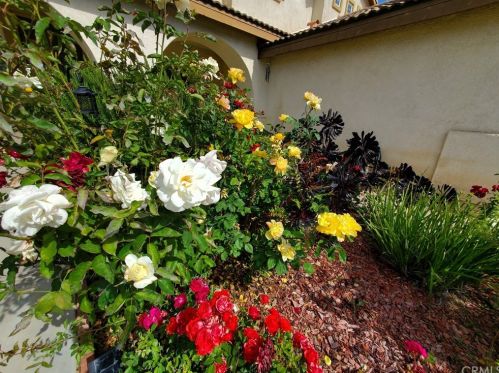 9464 Calico Trl, Riverside CA  92508-6836 exterior