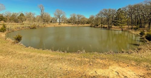 12092 Fm 831, Flo, TX 75831-6118