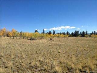 299 Overland Cir, Fairplay, CO 80456-0418