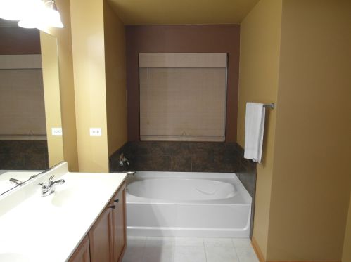 460 Brookhaven Trl, Pingree Grove IL  60140-9166 exterior