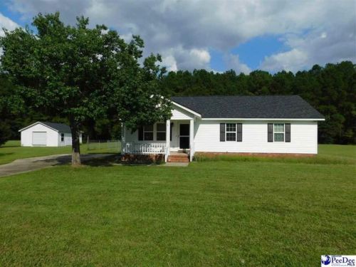 938 Kirby Farm Dr, Florence, SC 29506-8901