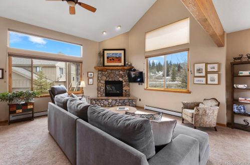 19 Montane Ct, Montezuma, CO 80435-7742