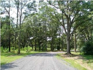 6373 Farm House Rd, Ravenel, SC 29470-5620