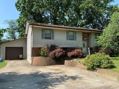 33 Rongey St, Bonne Terre, MO 63628-1142