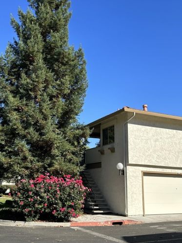 5466 Colony Field Dr, San Jose, CA 95123-1440