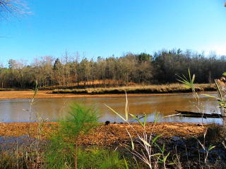 513 Terrapin Pointe Rd, Hodges, SC