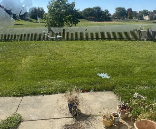 1142 Buckingham Dr, Carol Stream IL  60188-4317 exterior