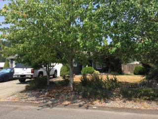 25325 154th Street Ct, Buckley, WA 98321-9020