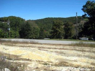13 Redwood Ln, Branson, MO 65616-7974