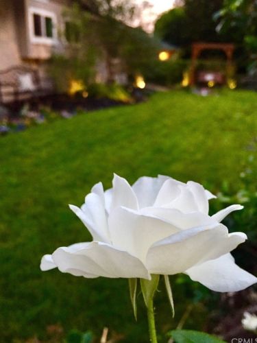 1102 Riviera Dr, Santa Ana CA 92706-1543 exterior