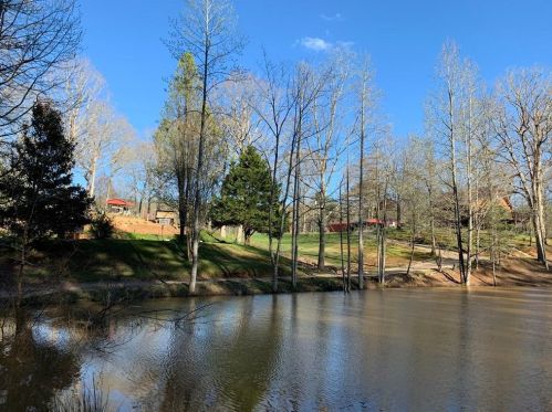 423 Charlie Lemley Rd, Dawsonville, GA 30534-8241