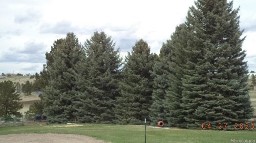 9815 Parker Rd, Parker, CO 80138-7210