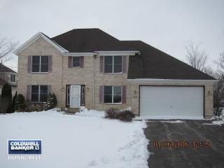 17213 Millstone Ct, Coral, IL 60152-8129