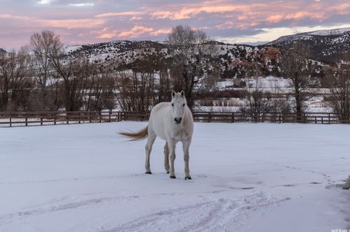 799 Hoytsville Rd, Hoytsville UT 84017-9742 exterior