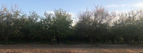 3700 Mcdonald Ave, Modesto, CA 95358-8831
