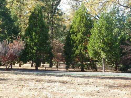 1348 Manhattan Dr, Paradise CA 95969 exterior