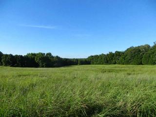 3407 Melody Ln, Alma, AR 72921-7866