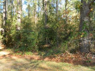 3359 Thornblade Dr, Florence, SC 29501-8048