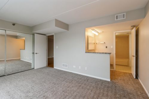 6050 Lake Bluff Dr, Tinley Park, IL 60477-7125