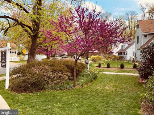 2233 Luzerne Ave, Silver Spring MD 20910-2135 exterior