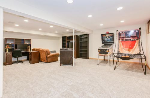 1033 Carlton Dr, Saint Paul MN  55126-8127 exterior