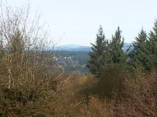 2251 32nd Cir, Camas, WA 98607-7320