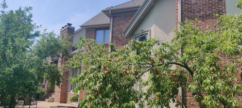 9419 Greenwood Dr, Des Plaines, IL 60016-3943