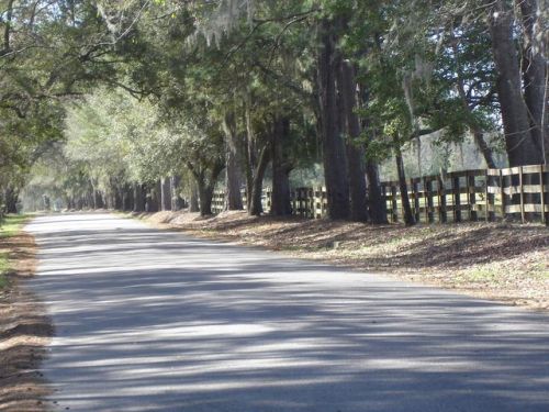 5751 Hyde Park Rd, Ravenel, SC 29470-5295