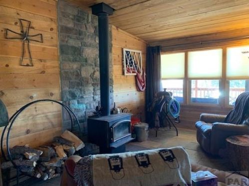 4575 Doe Valley Rd, Guffey, CO 80820-9686