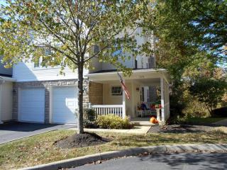 372 Sycamore Woods Ln, Columbus, OH 43230-5603