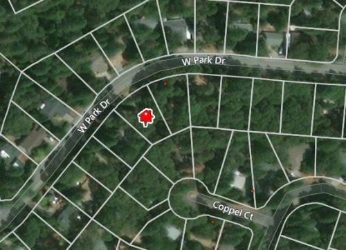13694 Park Dr, Nimshew, CA 95954-8803