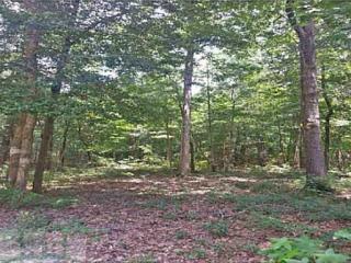 137 Runs Crossing Dr, Stillwell, GA 31329-4344