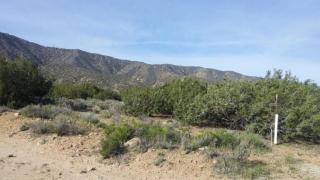 29137 125th St, Pearblossom, CA 93553