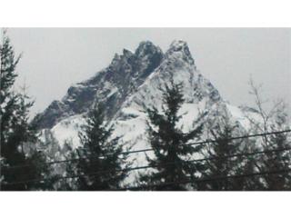 1031 Darrington St, Darrington, WA 98241