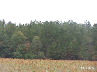 654 Union School Rd, Mcbee, SC 29101-8405