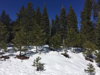 11918 Saddleback Dr, Truckee, CA 96161-2845