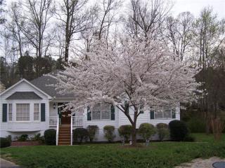 3166 Oak Leaf Ct, Marietta, GA 30064-4543