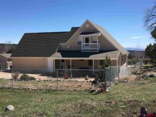 424 Shady Oak Ave, Grand Mesa CO  81413-8383 exterior