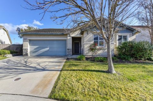 9817 Tundra Swan Cir, Elk Grove, CA 95757-8101