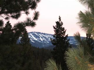 12003 Lausanne Way, Truckee, CA 96161-6007