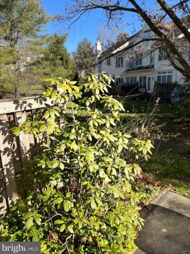 12 Wilkinson Way, Princeton NJ  08540-7362 exterior