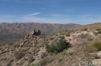 51711 Cedar Dr, Morongo Valley, CA 92256-9424