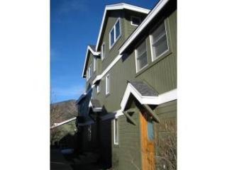 336 Alexander Ln, Basalt, CO 81621-9171