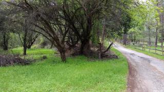 950 Sunray Ln, Cape Horn, CA 95713-9555